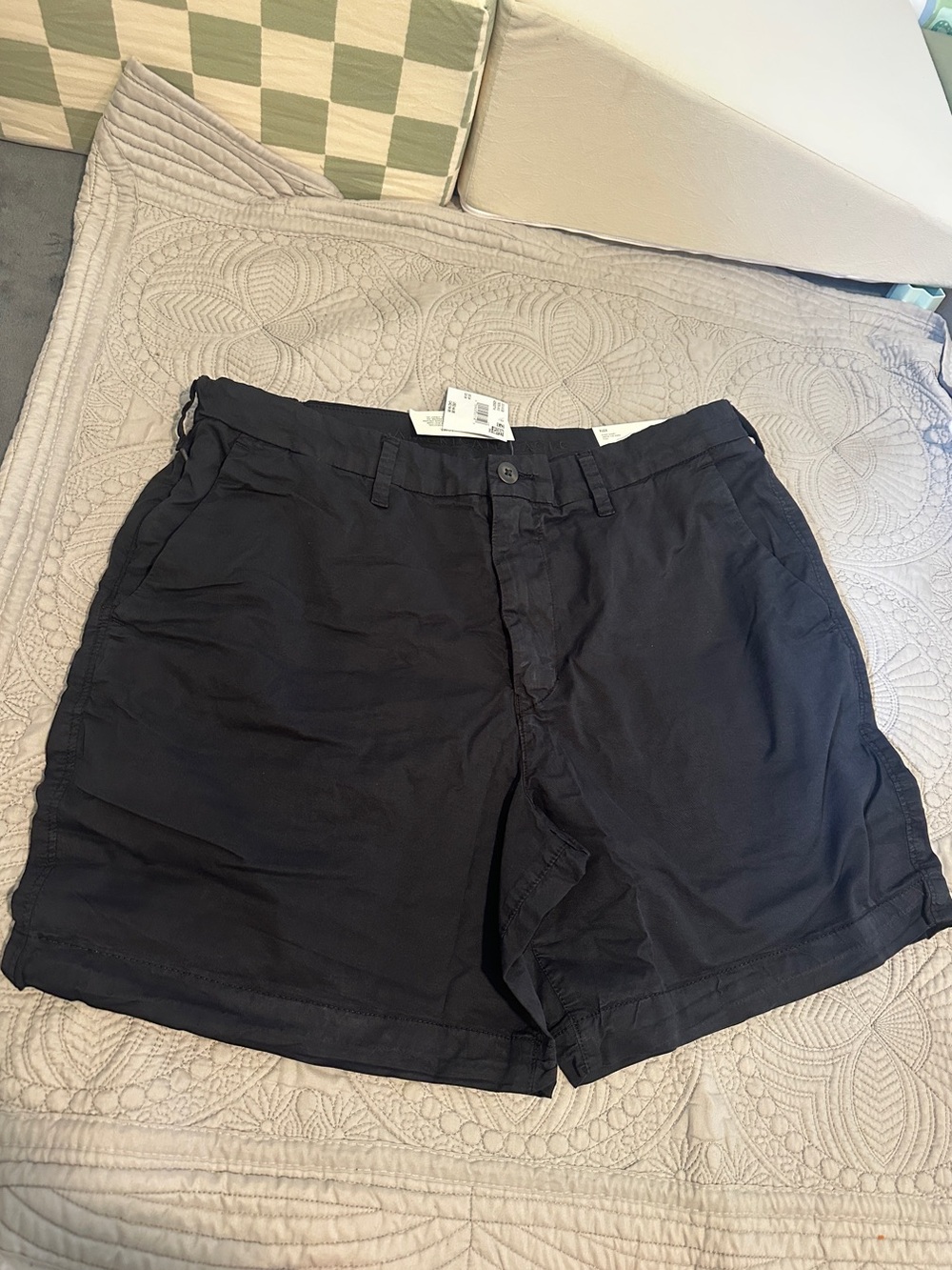 American Eagle Outfitters Navy Flat Front Men's Shorts